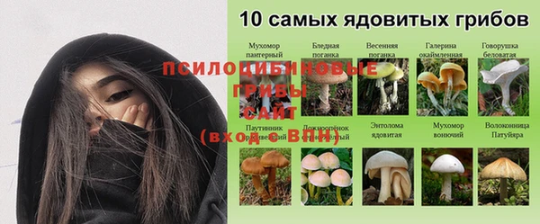 прущая мука Алзамай