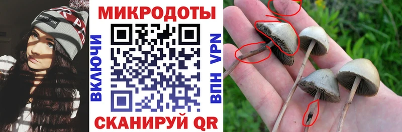Псилоцибиновые грибы Magic Shrooms  Рошаль 