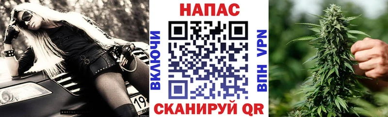 Бошки марихуана Ganja  Рошаль 